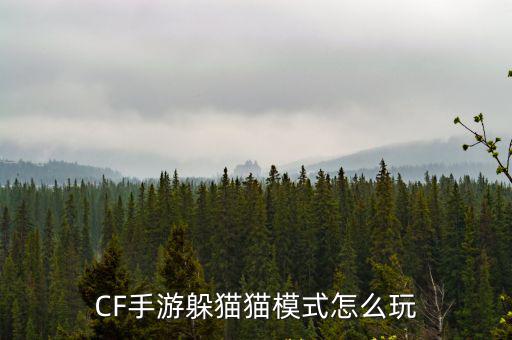 穿越火线手游藏猫猫怎么找，cf手游躲猫猫模式在哪怎么玩