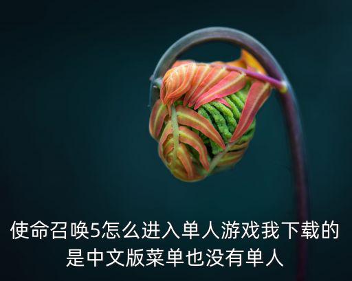 使命召唤5怎么进入单人游戏我下载的是中文版菜单也没有单人