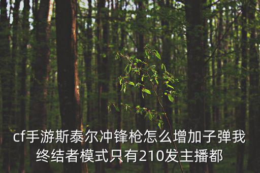 cf手游斯泰尔冲锋枪怎么增加子弹我终结者模式只有210发主播都