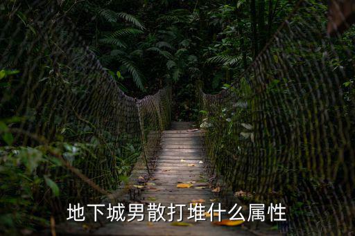 dnf男散打要什么属性，DNF男散打是堆什么属性的