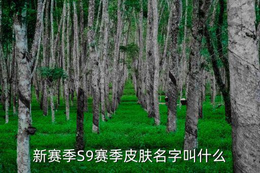 新赛季S9赛季皮肤名字叫什么