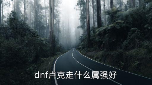 dnf卢克红眼走什么属性，dnf卢克走什么属强好