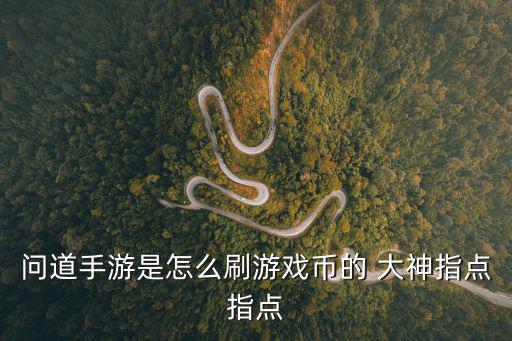 问道手游是怎么刷游戏币的 大神指点指点