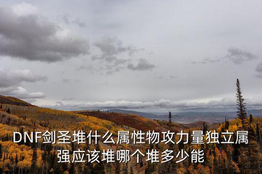 DNF剑圣堆什么属性物攻力量独立属强应该堆哪个堆多少能