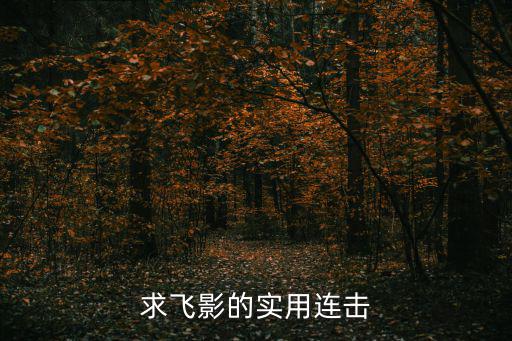 求飞影的实用连击