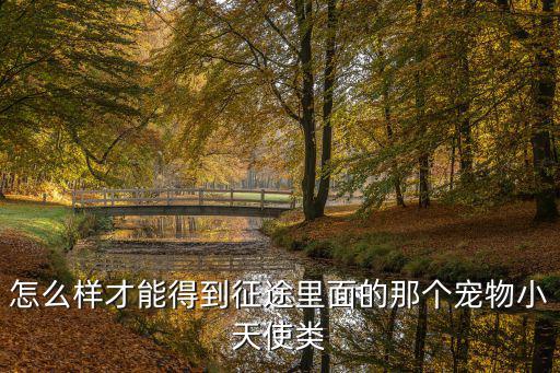 怎么样才能得到征途里面的那个宠物小天使类