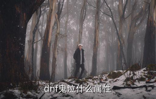 dnf鬼泣什么属性