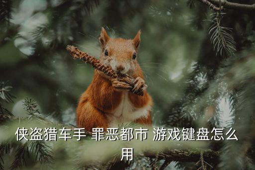 侠盗猎车手 罪恶都市 游戏键盘怎么用