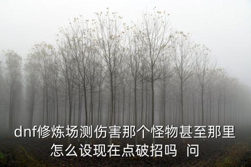 dnf修炼场测伤害那个怪物甚至那里怎么设现在点破招吗  问