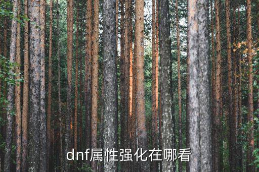 dnf属性强化在哪看