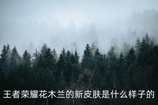 王者荣耀新皮肤长什么样子，新皮肤的英雄是什么样子的