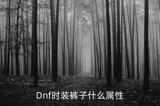 Dnf时装裤子什么属性