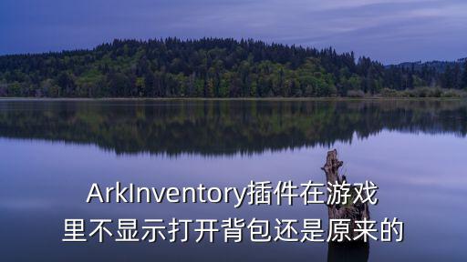ArkInventory插件在游戏里不显示打开背包还是原来的