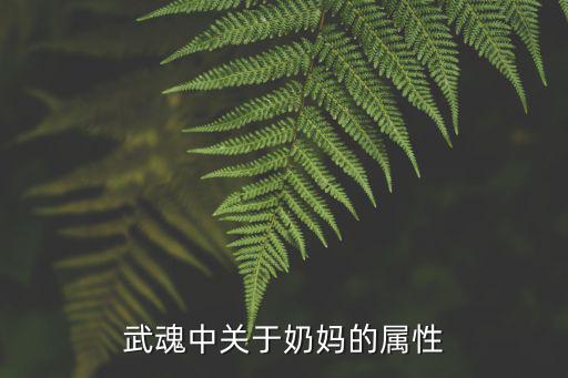 武魂中关于奶妈的属性