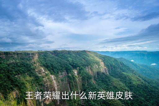 王者荣耀出什么新英雄皮肤
