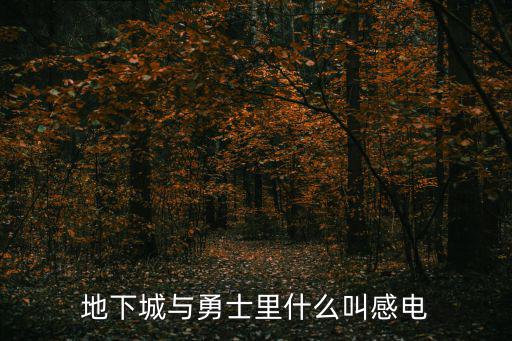 地下城与勇士里什么叫感电