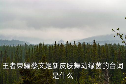 王者荣耀蔡文姬新皮肤舞动绿茵的台词是什么