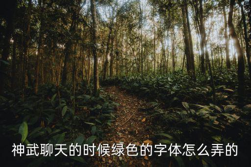神武4手游聊天怎么发绿字，聊天怎样发变色字
