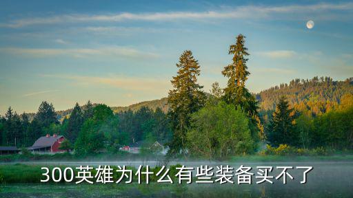 游戏装备买不了了怎么回事，游戏装备里的东西没有怎么回事都是无法交易的呀