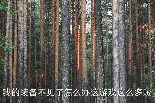 我的装备不见了怎么办这游戏这么多贼