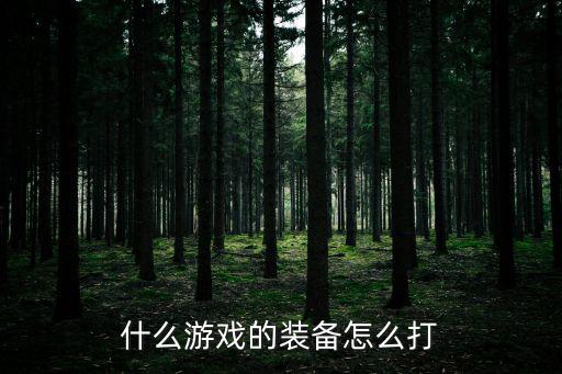 什么游戏的装备怎么打
