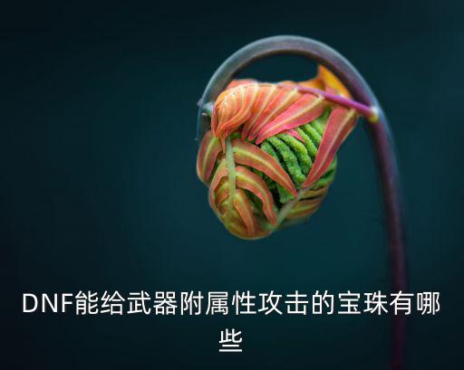 DNF能给武器附属性攻击的宝珠有哪些