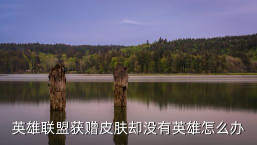 英雄联盟获赠皮肤却没有英雄怎么办