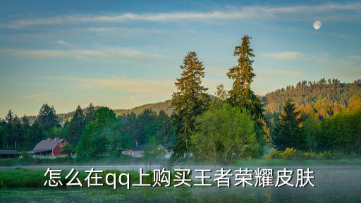 去哪里买王者荣耀新皮肤，怎么在qq上购买王者荣耀皮肤