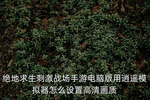 手游模拟器怎么设置超高清，如何将模拟器设置成高清