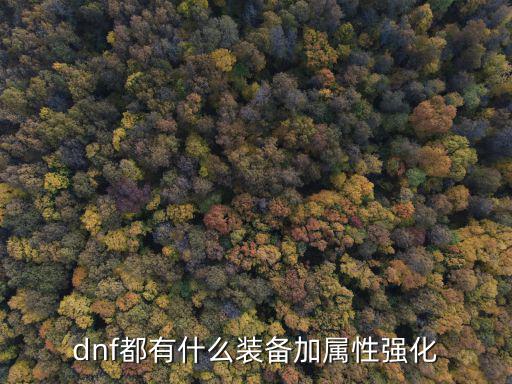 dnf强化什么装备加属性，DNF中装备加什么属性强化好我是魔神