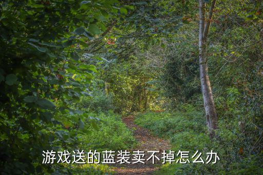 游戏送的蓝装卖不掉怎么办