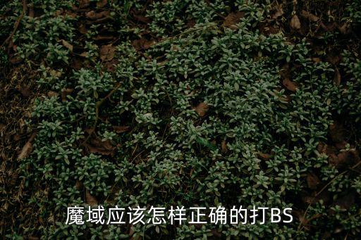魔域应该怎样正确的打BS