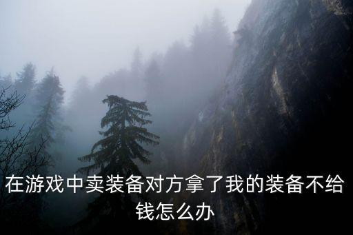 在游戏中卖装备对方拿了我的装备不给钱怎么办