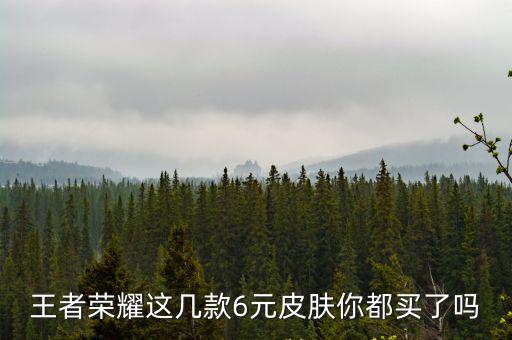 王者荣耀这几款6元皮肤你都买了吗