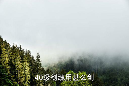 40级剑魂用甚么剑