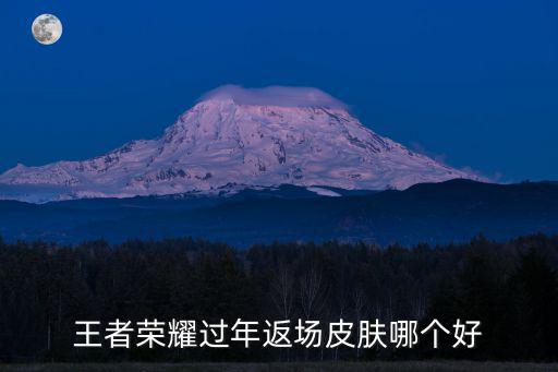 王者荣耀过年返场皮肤哪个好