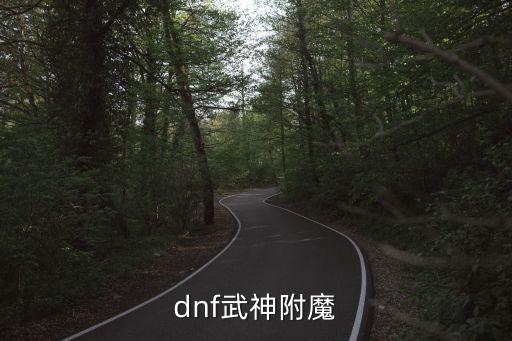 dnf武神附魔什么属性，DNF女武神装备应该附魔什么属性的宝珠