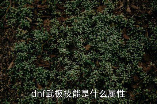 dnf武极技能是什么属性