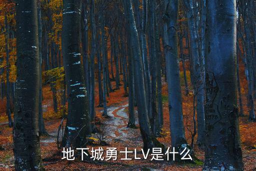 dnf属性lv是什么意思，DNF里当前lv特性指的是什么