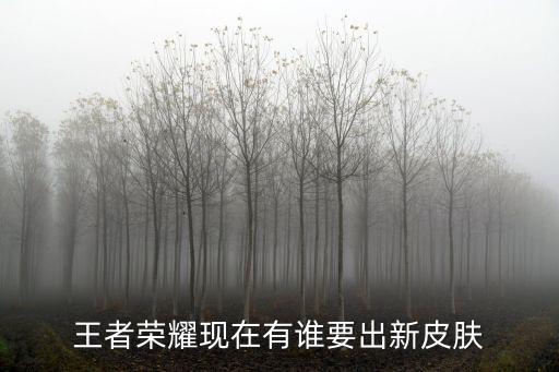 王者荣耀现在有谁要出新皮肤