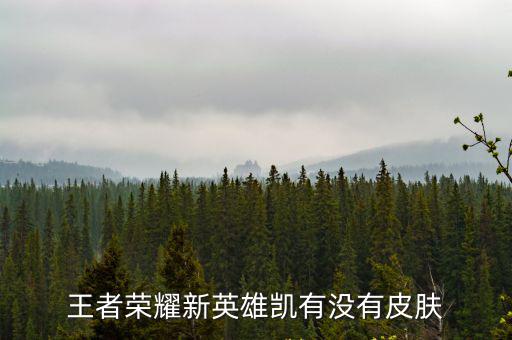 王者荣耀新英雄凯有没有皮肤