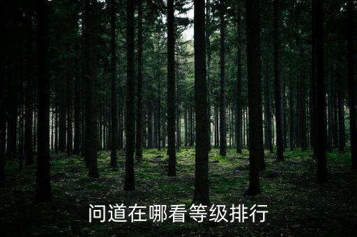 问道在哪看等级排行