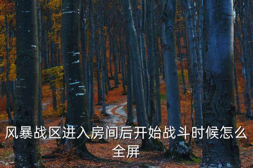 风暴战区进入房间后开始战斗时候怎么全屏