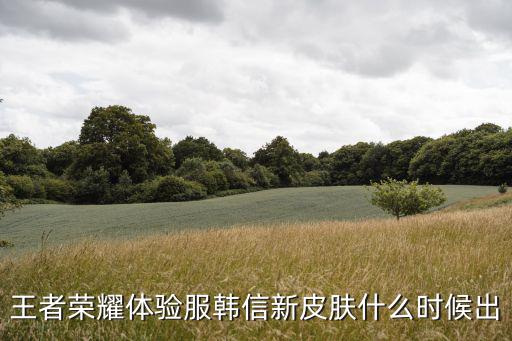 王者荣耀体验服韩信新皮肤什么时候出
