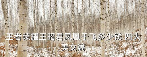 王者荣耀王昭君凤凰于飞多少钱 四大美女篇