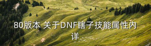 80版本 关于DNF瞎子技能属性内详