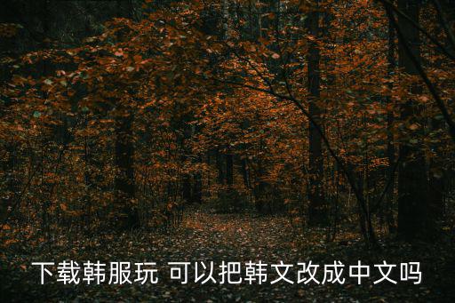 下载韩服玩 可以把韩文改成中文吗