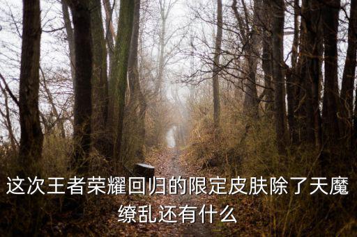 这次王者荣耀回归的限定皮肤除了天魔缭乱还有什么