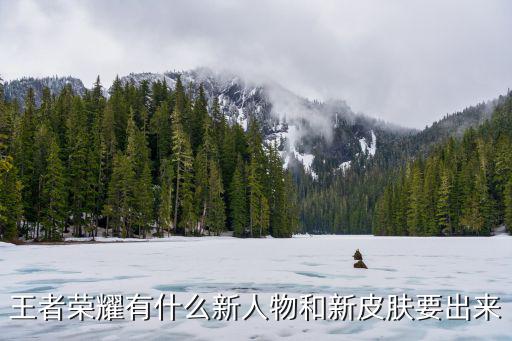 王者荣耀新节奏皮肤有哪些，王者荣耀有什么新人物和新皮肤要出来