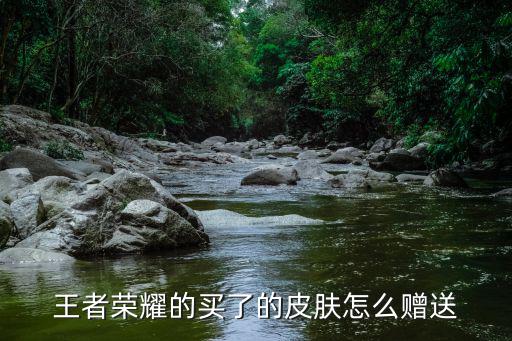 王者荣耀的买了的皮肤怎么赠送